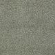 Hillshire in Garden Fairy - Carpet by Shaw Flooring