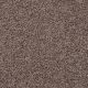 Everyday Easy in Fawn - Carpet by Shaw Flooring