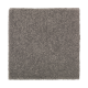Organic Beauty I in Evening Shadow - Carpet by Mohawk Flooring