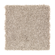 Wise Choice in Brushed Suede - Carpet by Mohawk Flooring
