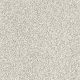 Delicate Distinction Classic I in Baybridge - Carpet by Shaw Flooring