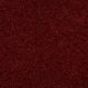 Our Delight III in Cherry Red - Carpet by Shaw Flooring
