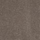 Enjoy The Moment II 15' in Camel - Carpet by Shaw Flooring