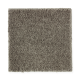 Opulent Appeal in Garden Bramble - Carpet by Mohawk Flooring