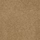 Truly Modern III 15' in Peanut Brittle - Carpet by Shaw Flooring
