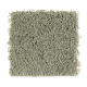 Creative Charm in Botanical - Carpet by Mohawk Flooring