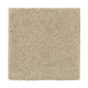 Absolute Elegance II in Raffia Basket - Carpet by Mohawk Flooring