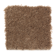 American Splendor III in Aged Brass - Carpet by Mohawk Flooring