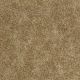 Distinction in Log Cabin - Carpet by Shaw Flooring
