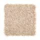 Style Objective in Beach House - Carpet by Mohawk Flooring