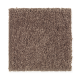 Eternal Allure I in Warm Earth - Carpet by Mohawk Flooring