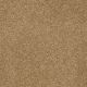 Sandy Hollow Classic III 12' in Peanut Brittle - Carpet by Shaw Flooring