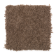 Comfortable Creation I in Fudge Bar - Carpet by Mohawk Flooring