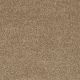 All Star Weekend II 12' in Golden Echoes - Carpet by Shaw Flooring