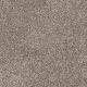 Easy Living III in Tahiti Taupe - Carpet by Engineered Floors