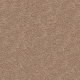 Truly Tasteful in Wildwood - Carpet by Mohawk Flooring