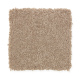 Beautiful Desire II in Dash O'spice - Carpet by Mohawk Flooring