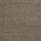 Quiet Comfort Classic II in Mesquite - Carpet by Shaw Flooring