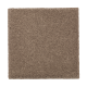 Nature's Charm II in Cat Tail - Carpet by Mohawk Flooring