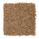 Smart Color in Tiki Hut - Carpet by Mohawk Flooring