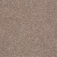 All Star Weekend II 12' in Honeycomb - Carpet by Shaw Flooring