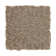 Soft Balance in Velvet Brown - Carpet by Mohawk Flooring