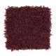 Bright Opportunity in Bordeaux - Carpet by Mohawk Flooring