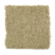 Truly Tender III in Dried Herb - Carpet by Mohawk Flooring