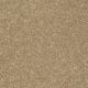 Bright Idea III in Rattan - Carpet by Shaw Flooring