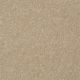 Passageway III 12 in Sugar Cookie - Carpet by Shaw Flooring