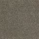 Poetic in Smooth Pebble - Carpet by Shaw Flooring