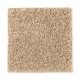 Modern Ease in Raffia - Carpet by Mohawk Flooring