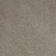 Flora in Wild Mushroom - Carpet by Shaw Flooring