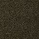 Newsline I 15' in Pine - Carpet by Shaw Flooring