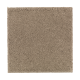 Natural Splendor II in Urban Taupe - Carpet by Mohawk Flooring