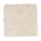 Eternal Allure I in Fossil Stone - Carpet by Mohawk Flooring