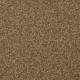 Highland Cove II 15 in Belt Buckle - Carpet by Shaw Flooring