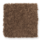 Chic Appearance in Ginger Jar - Carpet by Mohawk Flooring