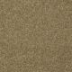 On Going II 12 in Celery - Carpet by Shaw Flooring