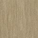 Via Lido in Tigress - Carpet by Shaw Flooring