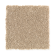 New Chapter II in Early American - Carpet by Mohawk Flooring