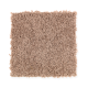 Winning Hand in Woodcarving - Carpet by Mohawk Flooring