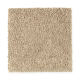 Eternal Allure II in Harvest Straw - Carpet by Mohawk Flooring