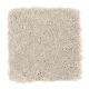 Benson Park in Birch Bark - Carpet by Mohawk Flooring