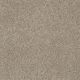 Majority Rules in Havana - Carpet by Shaw Flooring