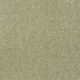 Stargazer in Seedling - Carpet by Shaw Flooring