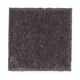 Eternal Allure I in Walnut - Carpet by Mohawk Flooring
