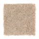 Tempting Example in Frosty Spice - Carpet by Mohawk Flooring