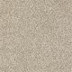Delicate Distinction Classic I in Cavern - Carpet by Shaw Flooring