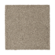 Splendid Freedom in Faint Maple - Carpet by Mohawk Flooring